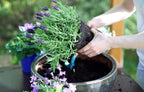 Gardenera Premium Moisture Control Potting Mix - Get The Perfect Balance of Moisture and Nutrients for Your Plants! - 3 Quart