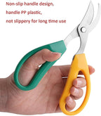 Garden Scissors, Stainless Steel Garden Bonsai Pruning Shears, Anti-Slip Softgrip SnipGardening Tools Garden Shears for Plants Herb (Classic)
