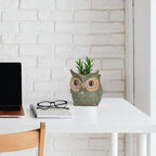 DIYOMR Small Ceramic Planter Pot, 4.3" Vintage Bronze Animal Planters Ceramic Flowerpot Succulent Pots Cactus Pot (Owl)
