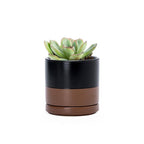 D'vine Dev 3.5 Inch Ceramic Planter Pot with Drainage Hole and Saucer, Indoor Cylinder Round Planter Pot, Black/Speckled Tan, 94-O-A-7
