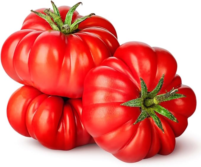 Floradel Tomato Seeds - Solanum lycopersicum - Plant with Confidence - 125+ Heirloom, Non-GMO Seeds for Bountiful Harvests!