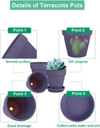 vensovo 4 Inch Small Purple Terracotta Plant Pots with Saucer - 6 Pack Clay Flowerpots with Drainage, Great for Indoor Outdoor Plants, Crafts, Wedding Favor