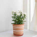 Yukfona Ceramic Plant Saucer Pot Tray 8.5 Inch, Planter Saucers 6 7 8 9 10 11 12 15 Inch, Durable Sturdy Flower Drainage drip Water Tray for Glazed Pots Base (8.5 Inch- Red Terracotta)
