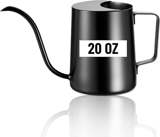 20oz/600ml Watering Can Indoor Plants, Stainless Steel Plant Watering Can with Long Spout (Black)