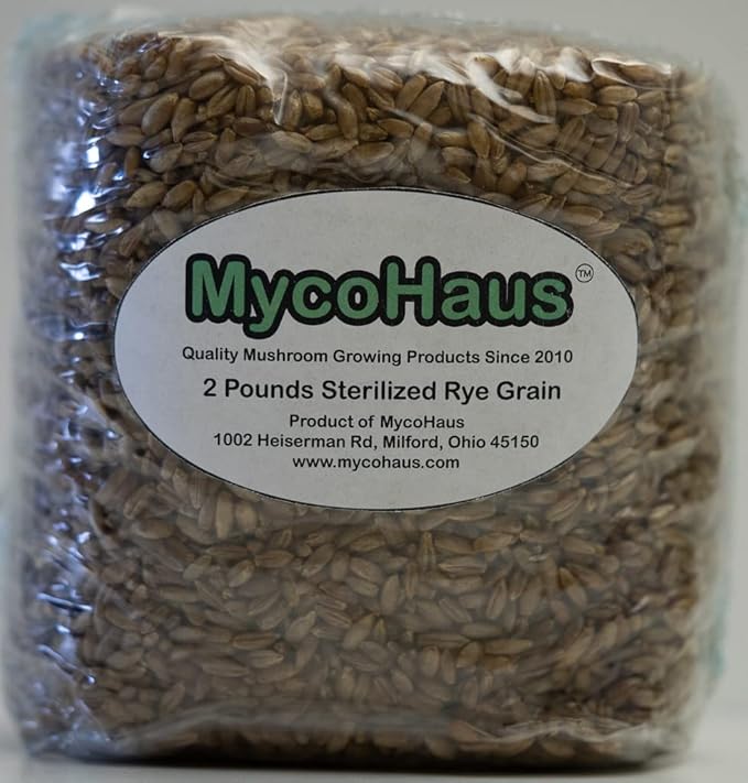 MycoHaus Mushroom Growing Kit | Sterilized Rye Grain | Magic Indoor Grow Bags for Mushrooms | Shroom Home Cultivation Magic Supplies | Without Spores | Without Injection Ports | 2 Pound (12 Pack)