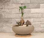 MUZHI Round Unglazed Ceramic Bonsai Pot with Bamboo Tray, Large Rough Pottery Succulent Planter with Drainage Hole 8 inch … (8”)