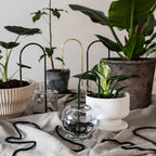 Beautiful Self-Watering Wick System for Effortless Plant Care, Automatic Drip Irrigation, Sustainable & Stylish Scandinavian Design, Ideal for House Plants (M, Brass Patina)