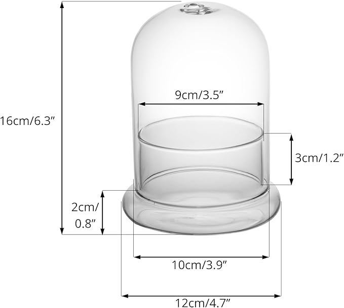 NCYP Small Clear Decorative Glass Terrarium Cloche with Air Hole - 4.7 x 4.7 x 6.3 Inches Glass Dome with Base for Miniature Plants - Display Storage (No Plants Included)
