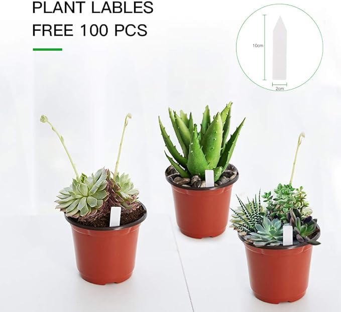 JERIA 100-Pack 6 Inch Plastic Nursery Pots Come with 100 Pcs Labels, Seedling Flower Plant Container and Seed Starting Pots