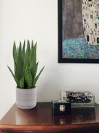 Briful Fake Snake Plant 16" Faux Potted Plant Artificial Snake Plant with Cement Pot Sansevieria Plant Perfect for House Modern Living Room Office Housewarming Gift Indoor Decor