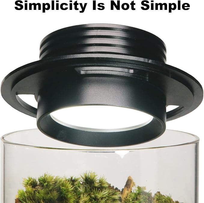 AREPK Desktop Glass Plant Terrarium with Grow Light (H:7.8" D:4"), for Succulent, Moss, Miniature Gardening Landscape, Betta Fish Tank, Office Home Decoration, Plant Lovers Gifts