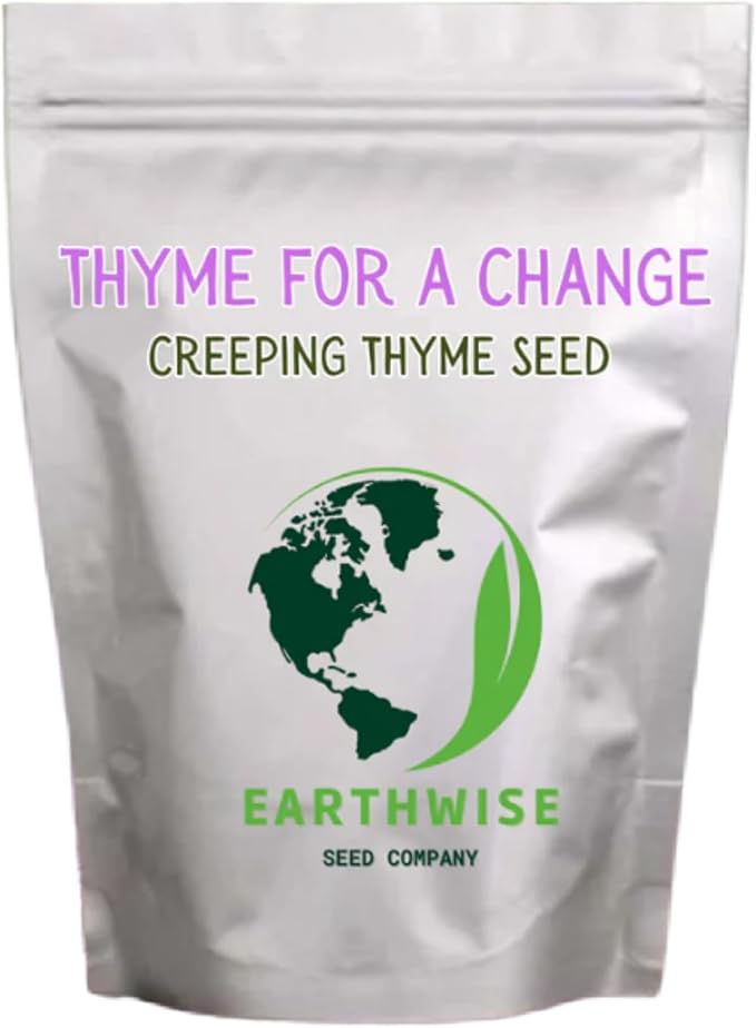Earthwise Thyme for a Change Wild Creeping Thyme Seeds – Fragrant Groundcover, Alternative Lawn, Drought Tolerant, Low Growing, Pet Safe, Organic – Covers Up to 500 sq ft, 1 oz, ~16,000 Seeds