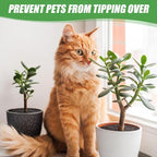 10Pcs Flower Pot Soil Guard, 11.8 Inch Plant Pot Protector from Cats, Cuttable Flowerpot Soilcover Protectors, for Gardening Flower from Animals Keep Cats Squirrels Out of Pots (s1)
