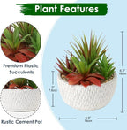 Briful Small Fake Plants Assorted Faux Succulents in Pots Realistic Succulents Plants Artificial with Cement Pots for Home Table Office Desk Bathroom Shelf Living Room Decor