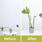 10-Pack Monstera Plant Support - 12 Inch Durable Iron U-Shaped Trellis Stakes for Indoor & Outdoor Medium-Sized Potted Plants - Perfect Stem Holder for Monstera & More