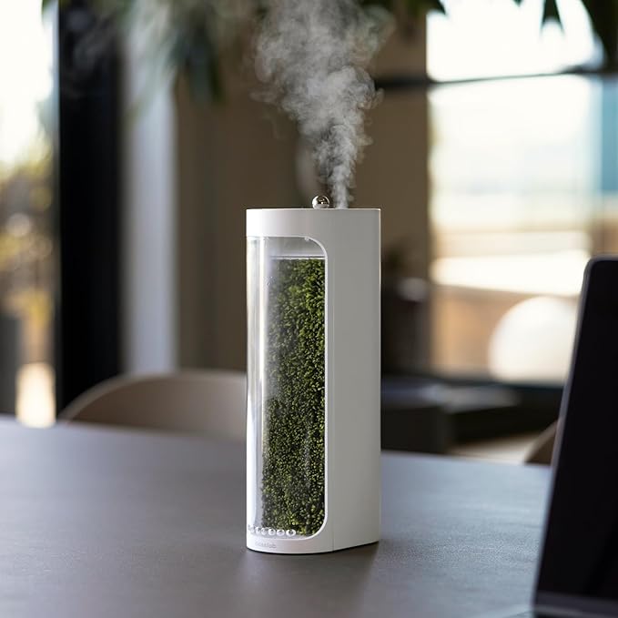 Moss Air – Living Moss Terrarium Humidifier | Soothing Mist Fountain & Ambient Light | Zen Desk Decor, Aesthetic Room Decor | Portable & Whisper-Quiet