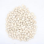 White Rocks for Plants. White Decorative Polished Pebbles. 1 to 2 Inch – 10lbs for Plants, Garden, Succulents, pots, Plants (MD (1 to 2 Inch), White - Lightly Polished, 10)