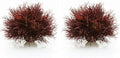 biOrb Sea Lily Crimson (Pack of 2)