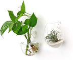 Kingbuy Wall Hanging Propagation Station Glass Plant Terrarium Container Egg Shape for Propagating Hydroponic Plants Home Office Garden Decor Wedding, 4 Pack