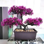 Bonsai Tree, Artificial Plants, Artificial Bonsai Tree Juniper Faux Plants, Indoor Small Fake Plants Decor for Home Bedroom Office Desk Farmhouse Decor(Color:Rose Red)