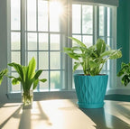 4 Inch Plant Pots, 6 Pack Indoor Flower Pots, Planters with Drainage Holes and Trays for Orchids, Violets, Succulents, Herbs, and Other Plants,Blue-Green