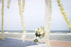 Miami FRESH CUT FLOWERS Orchid Loose Bloom OrchidClub USA by Sunne Tropical DIY Lei, food & drink decoration (50 WHITE)