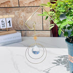 2 Pack Trellis for Potted Plants with Crystal Sun Catcher, Small Metal Garden Trellises for Climbing Plants Outdoor Indoor, Home Flower Vine Pot Plant Decor