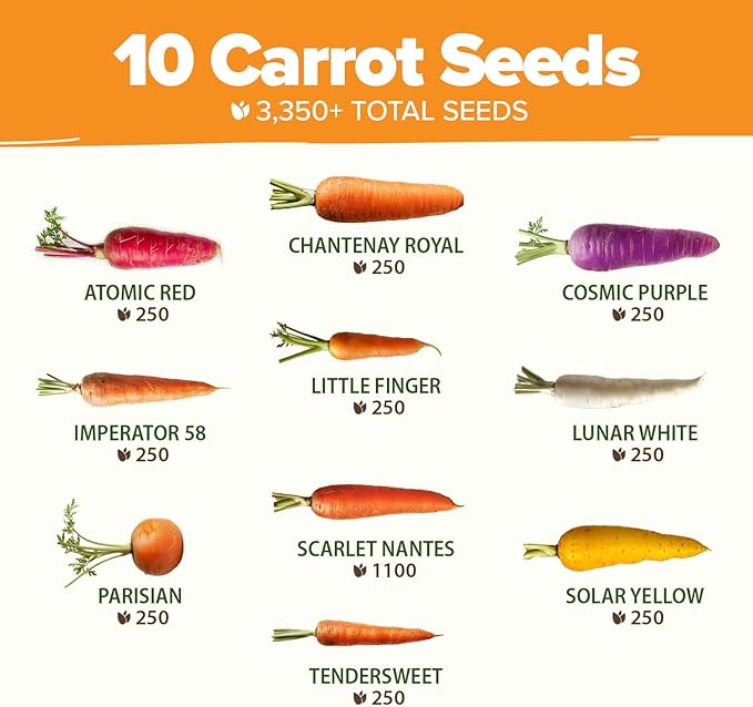 HOME GROWN Rainbow Carrot Seeds 10 Variety Mix 3350+ Heirloom Non-GMO Seeds for Planting, High Germination, Multi-Color Gourmet Root Vegetables, Kids Garden, Crunchy Fresh Eating (Daucus carota)