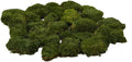 Preserved Pole Moss Pillow Bun Cushion Natural Green Decorative Real Natural DIY Kit Terrariums Garden Art Wall Florist Easter Wedding Decor (1.5 sq.ft., Green-A)