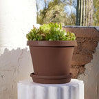 Bloem Terra Pot Planter: 12" - Chocolate Brown - Durable Resin Pot, for Indoor and Outdoor Use, Gardening, 3.5 Gallon Capacity, Saucer Sold Separately