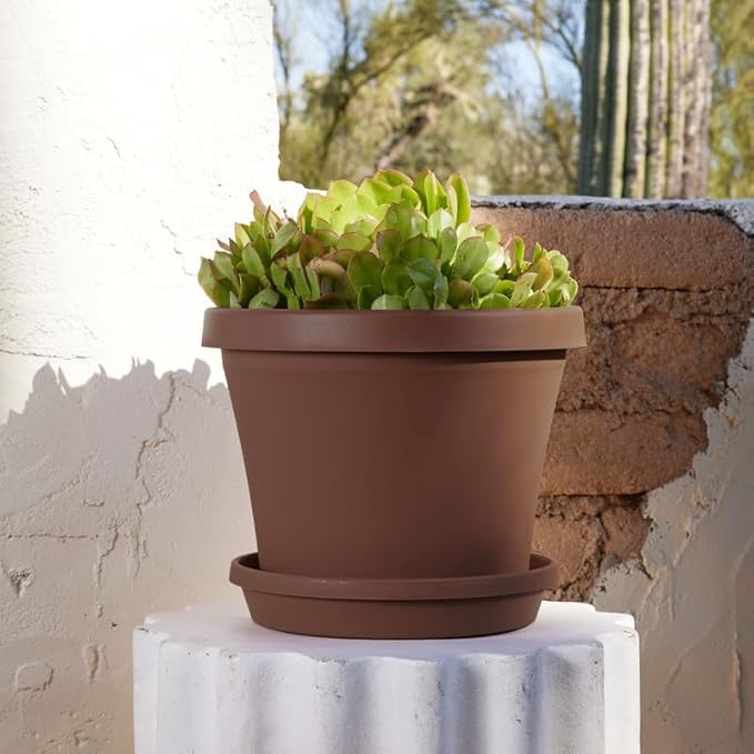 Bloem Terra Pot Planter: 12" - Chocolate Brown - Durable Resin Pot, for Indoor and Outdoor Use, Gardening, 3.5 Gallon Capacity, Saucer Sold Separately