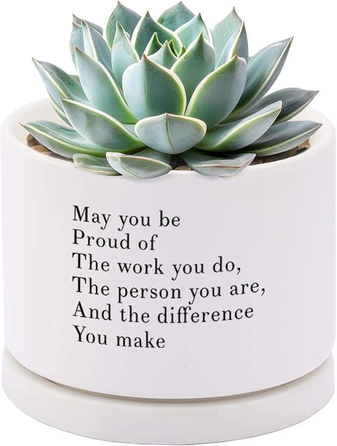 May You Be Proud of The Work You Do Inspirational Gift Ceramic Succulent Plant Pot with Tray Coworker Leaving Motivational Gifts Home Decor Plant Lover 3.5 Inch White (No Plants) (with Ceramic Tray)