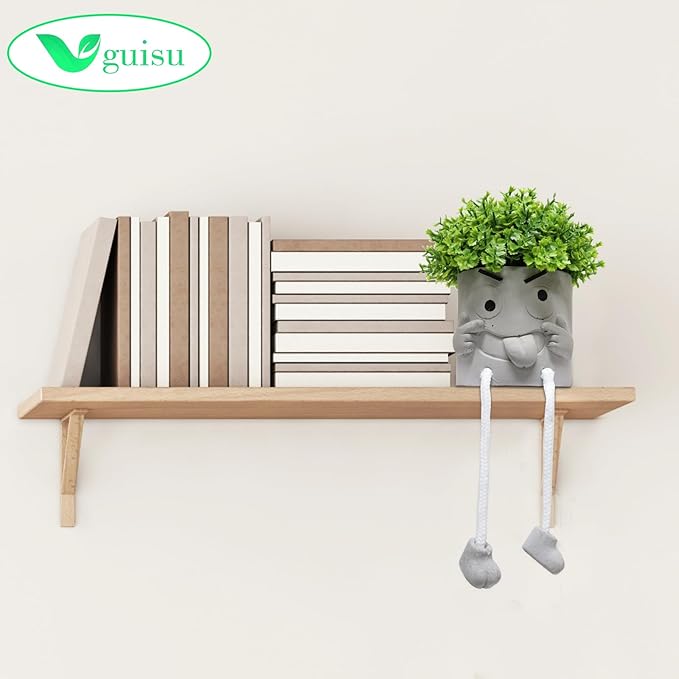 Uguisu 1PCS Cute Plant pots,2.5 Inch Succulent pots,Indoor Succulent planters,Small Flower pots for Home Decor,Room,Shelf Decor,Desk Decor.（No Plants）