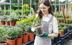 8 pcs 5/6/7/8 inch Large Clear Nursery pots for Plants with Saucers,Thick Plastic Nursery pots for Plants with Drainage Holes for Monstera Plant Live,Ariod,etc