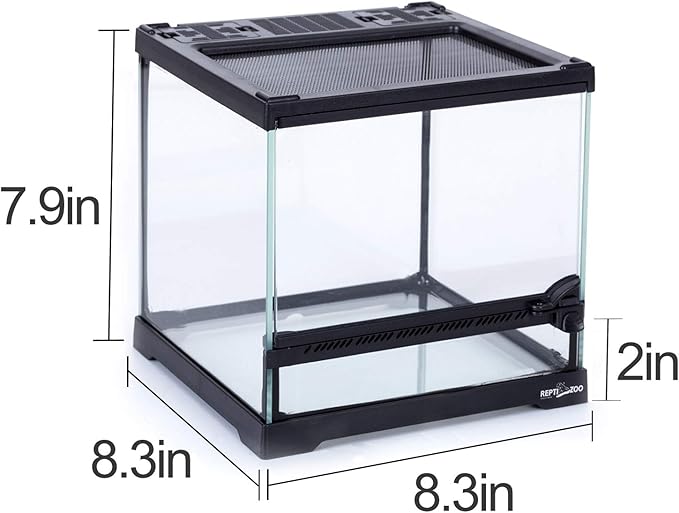REPTIZOO Mini Reptile Glass Terrarium Tank 8"x8"x8", Front Opening Door Full View Visually Appealing Mini Reptile or Amphibians Glass Habitat