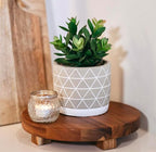 Kurrajong Farmhouse 8" high Artificial Plant in Pot - Small Faux Plant for Desk, Kitchen, Bathroom, Shelf & Coffee Table - Realistic Indoor Plant for Home Decor