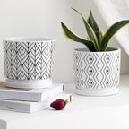 2 Pack Ceramic Plant Saucer Pot Tray 6 Inch, Planter Saucers 4 5 6 7 8 9 10 11 12 13 Inch for Indoors Outdoor, Durable Sturdy Flower Drainage drip Water Tray for Glazed Pots Base (6.4 Inch-White)