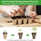 240 Cells Seed Thickened 12-Cell Peat Pots Seed Starter Kit - 20 Trays + Transplanting Tools & Plant Labels, Biodegradable Root-Friendly Seedling Cups for Vegetables Flowers Herbs Seed Starting