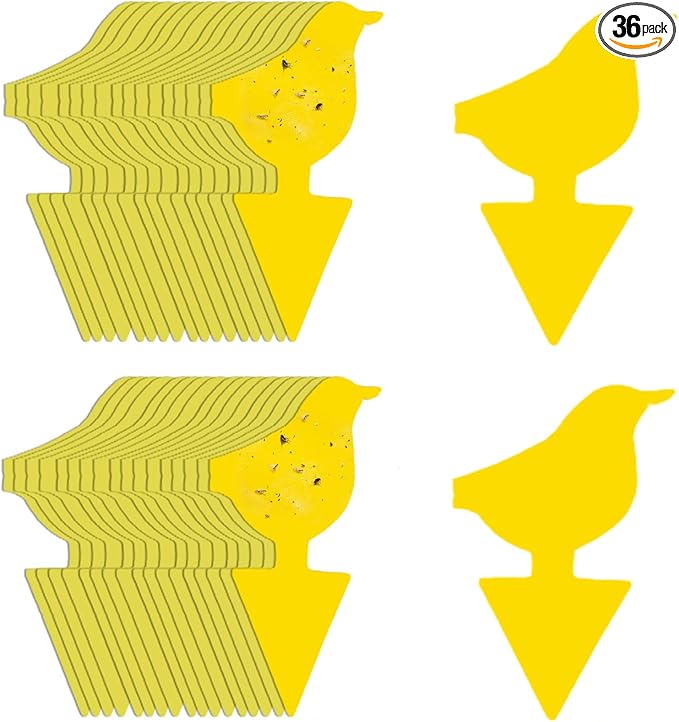 Kate's Home & Garden 36 Count Fruit Fly Traps for Indoors and House. Yellow Sticky Trap for Gnats, Mosquitos, Plants, Ants
