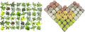 Easy to Grow Houseplants (48 Pack) Live House Plants in Plant Containers, Growers & Altman Plants, Live Succulents Plants (50 Pack), Nursery Pots Variety Pack, Bulk Succulents Plants Live Plants