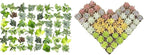 Easy to Grow Houseplants (48 Pack) Live House Plants in Plant Containers, Growers & Altman Plants, Live Succulents Plants (50 Pack), Nursery Pots Variety Pack, Bulk Succulents Plants Live Plants