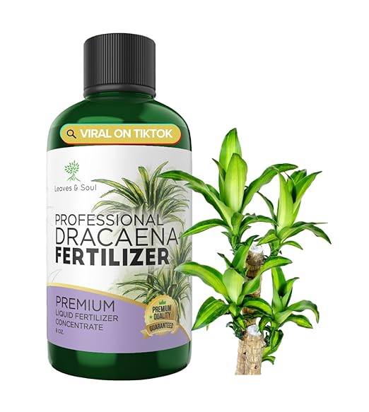 Professional Dracaena Plant Fertilizer Liquid 3-1-2 Concentrate 8 oz, Premium Dracena Liquid Plant Food for Indoor Plants, Liquid Dracaena Plant Fertilizer Made in USA