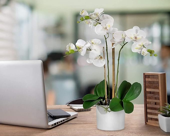 Serene Spaces Living White Realistic Phalaenopsis Orchids in Pot, Artificial Potted Flowers - Beautiful Entryway Vase, Foyer Table Décor, Measures 26" Tall & 5" Diameter, Set of 6