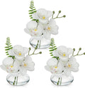Oairse White Orchids Artificial Flowers Faux Orchids Arrangement in Clear Glass Vases Set of 3 Real Touch Phalaenopsis Orchid Flowers Small Fake Orchid Centerpiece for Dining Room Table