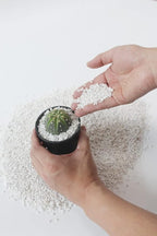 5 Quart Organic Perlite Horticultural Soil Amendment for Plants and Enhanced Drainage Enhanced Growth Organic Perlite Soil for Healthy Root Development