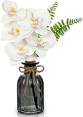 Artificial Orchids Flowers in Vase Faux Orchids Arrangement Small White Orchid with Plant in Glass Vase Black and White Decor Fake Phalaenopsis Orchid Centerpiece for Bathroom Dining Room Table