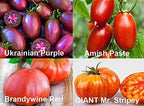 This is A Mix 30 Rainbow Deluxe Tomato Seeds Mix 16 Varieties, Heirloom Non-GMO, Indeterminate, Old German, Chocolate Stripes, Ukrainian Purple, Amish Paste USA Grown Solanum lycoperscium