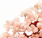 Colorsheng 7 Inch Quartz Crystal Money Tree Bonsai Feng Shui Gem Decoration for Wealth and Luck (Pink)