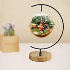 YY YEARCHY Awesomes Terrarium Ornament Display Stand Metal Stand Air Plant Stand Flower Pot Stand Holder Iron Pothook Stand for Hanging Glass Terrarium Globe Ball (5, Black)