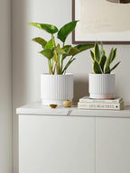LE TAUCI Ceramic Pots for Plants, 8+6.7+5.5 Inch Plant Pots Indoor, Flower Pot with Drainage Holes, Medium Cylinder Planters for Indoor House Plants, Set of 3, White